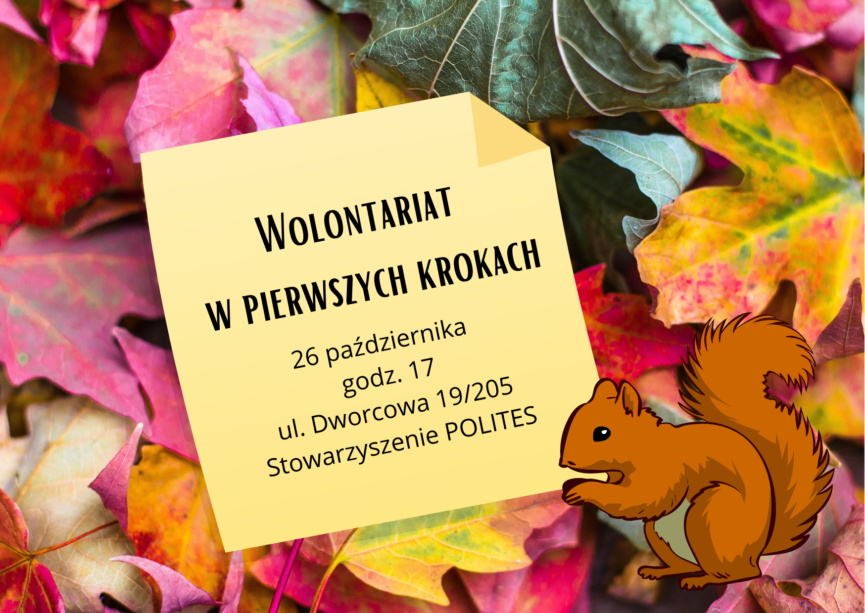 Warsztaty: Wolontariat w Pierwszych Krokach – październik 2021