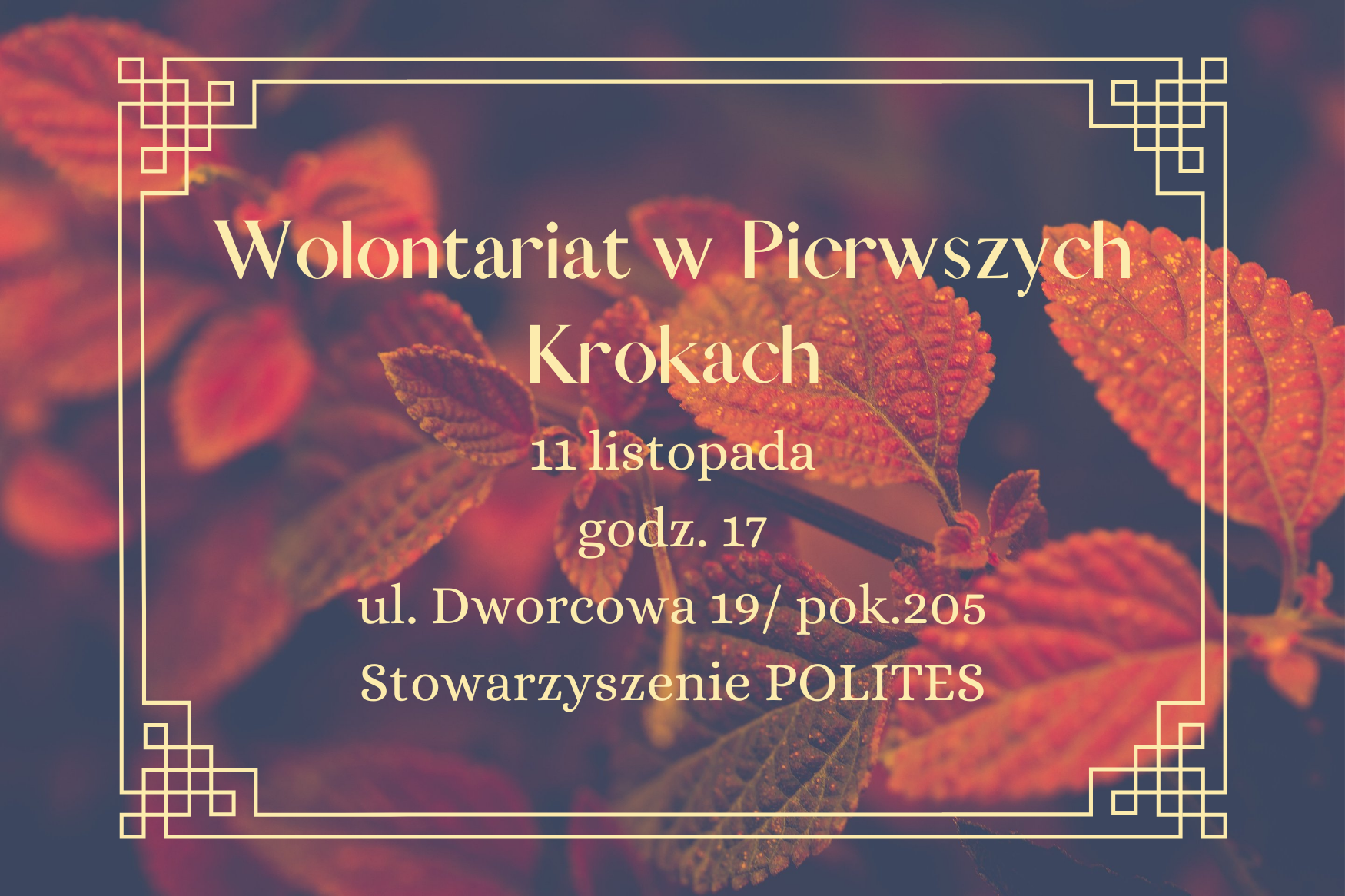 Warsztaty: Wolontariat w Pierwszych Krokach – listopad 2021